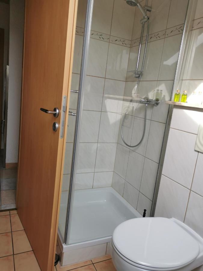 Apartment Hasselstrasse Mehren  Eksteriør billede
